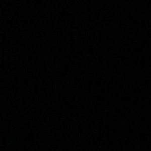 Meet your Posher, Gianna